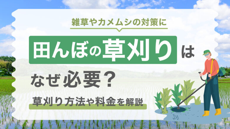 田んぼ草刈りはなぜ必要？