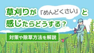 d2e67427f8671d7211c3cac96ea5b6